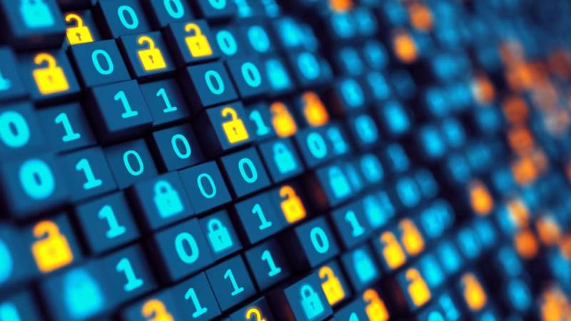 金阳县软件定制：数据管理效能的核心密钥