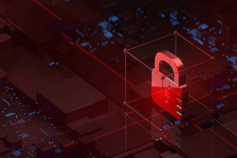 信创浪潮下的协同进阶：金阳县软件开发公司助力ERP与多系统信创适配